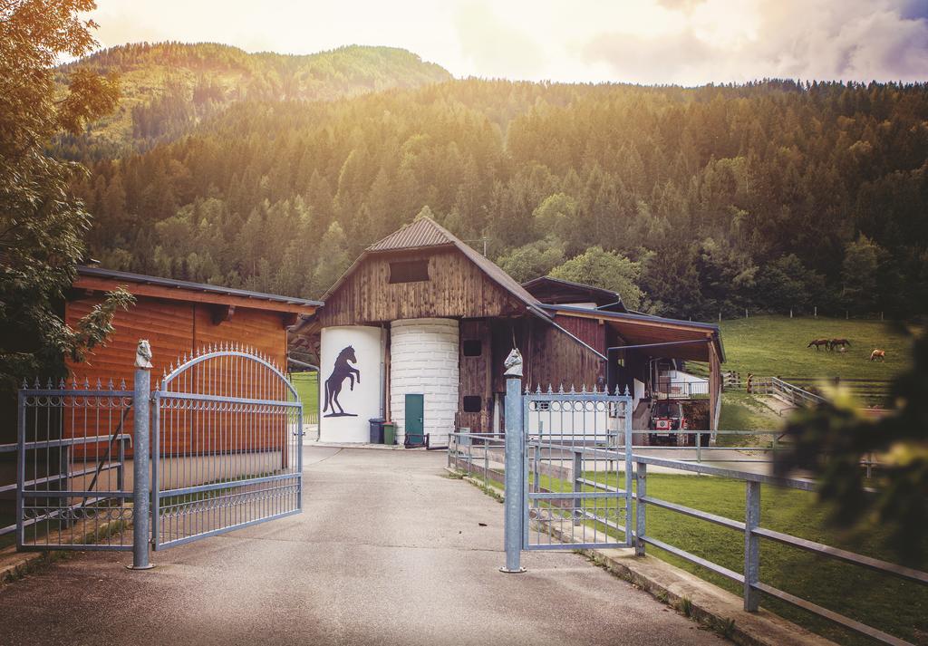 Raderhof Vila Feld am See Exterior foto